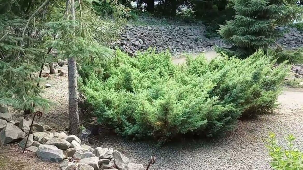 Hokkaido University Botanic Garden