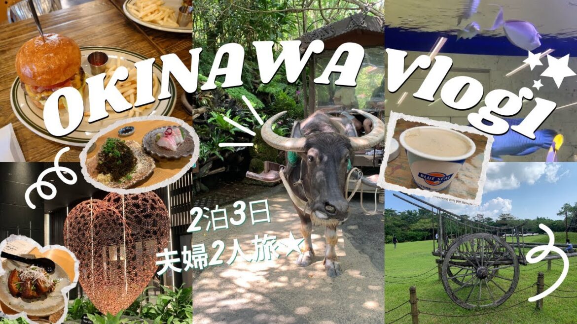 【沖縄Vlog1】HOTELコレクティブ泊&リアルジャングルクルーズ体験/ビオスの丘・Tギャラリア(DFS) 【沖縄Vlog1】HOTELコレクティブ泊&リアルジャングルクルーズ体験/ビオスの丘・Tギャラリア(DFS)