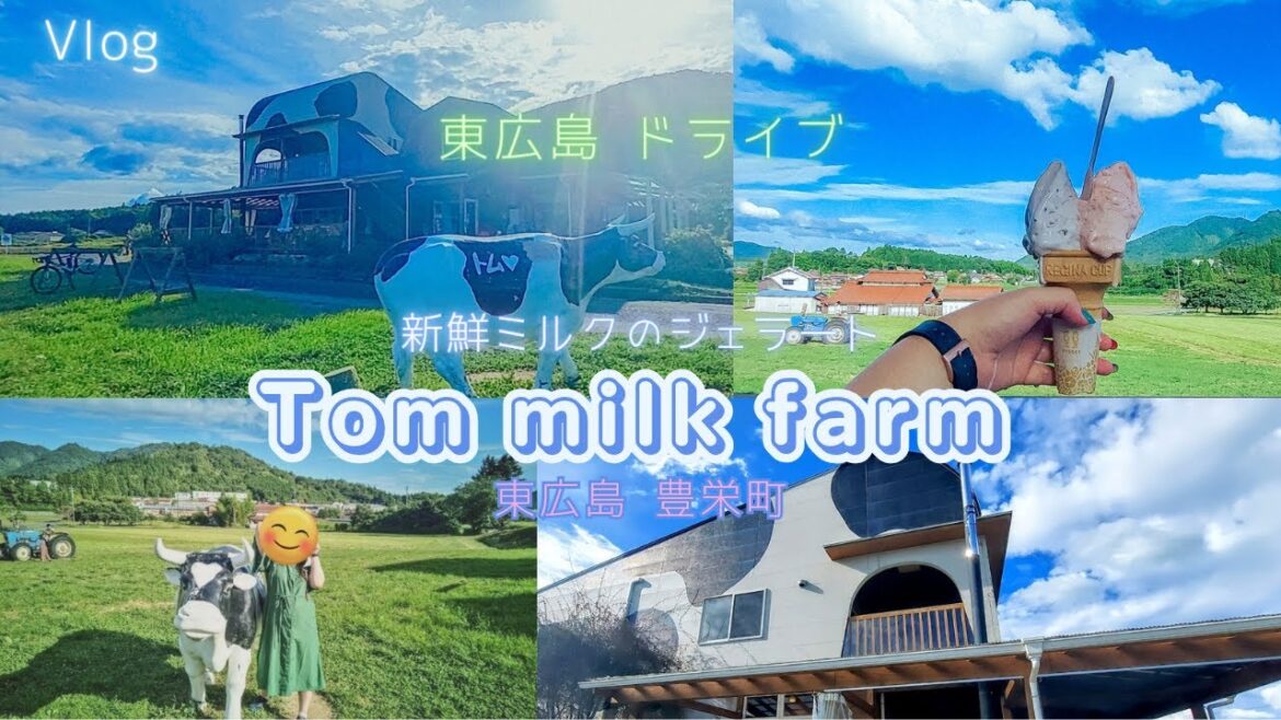 【東広島vlog】新鮮ミルクの絶品ジェラート♪トムミルクファーム 　東広島・豊栄町