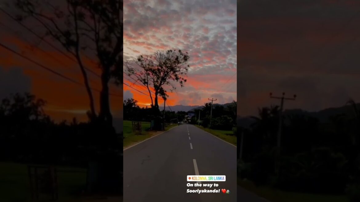 #shorts | colombo travel road 🤩🤩 travel vlog #youtubeshorts #short #shorts | colombo travel road 🤩🤩 travel vlog #youtubeshorts #short