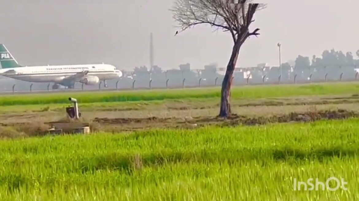 PIA AirLine Takeoff || Sialkot International Airport #viral #trending #takeoff #airlines PIA AirLine Takeoff || Sialkot International Airport #viral #trending #takeoff #airlines