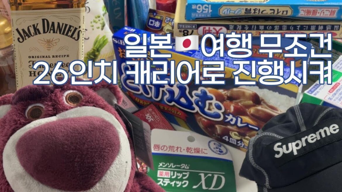 ์ผ๋ณธ๐ฏ๐ต ๋ํคํธํ
์ผํ ๋ฆฌ๋ทฐ l ์ผํ์ ์์ง๋ ๊ณง ์บ๋ฆฌ์ด์ ํฌ๊ธฐ ์ผ๋ณธ๐ฏ๐ต ๋ํคํธํ
์ผํ ๋ฆฌ๋ทฐ l ์ผํ์ ์์ง๋ ๊ณง ์บ๋ฆฌ์ด์ ํฌ๊ธฐ