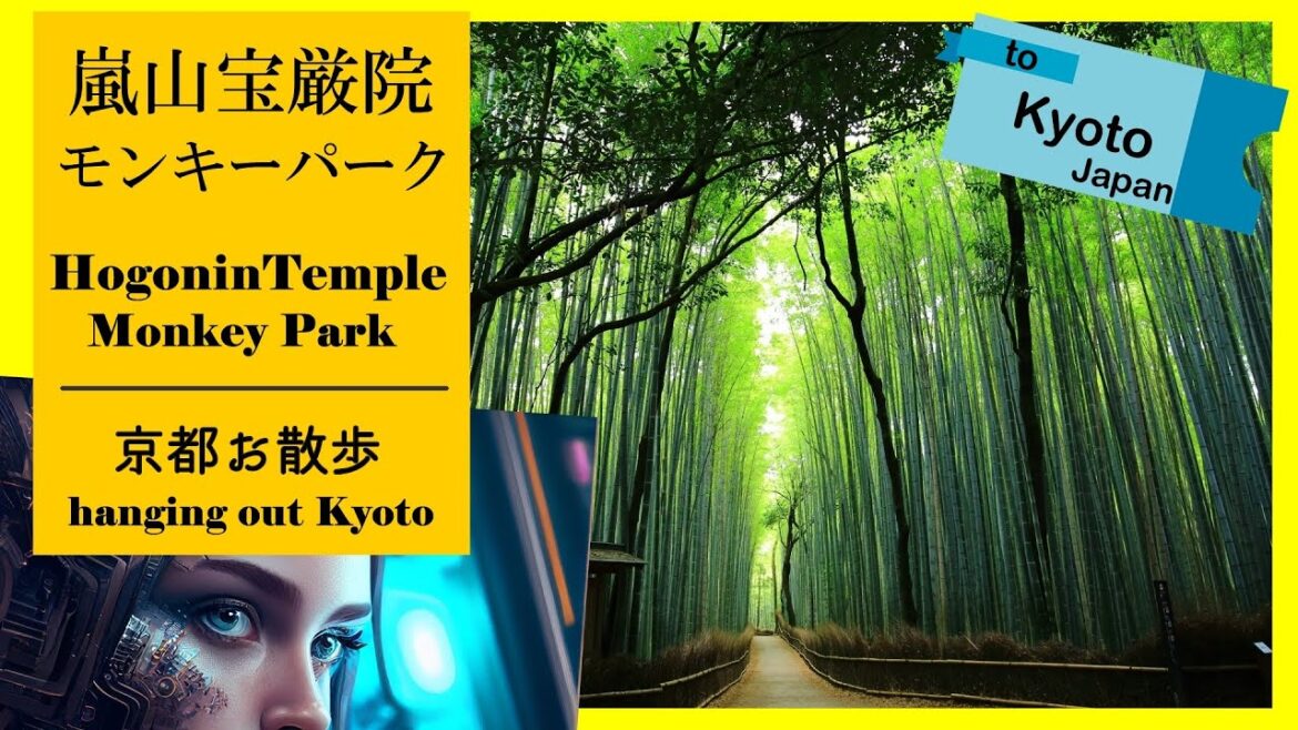 【京都#7】「渡月橋をゲット！京都嵐山でみつけたもの」　竹林の小径やモンキーパークなどを散策　～Hanging out at Arasiyama district in Kyoto