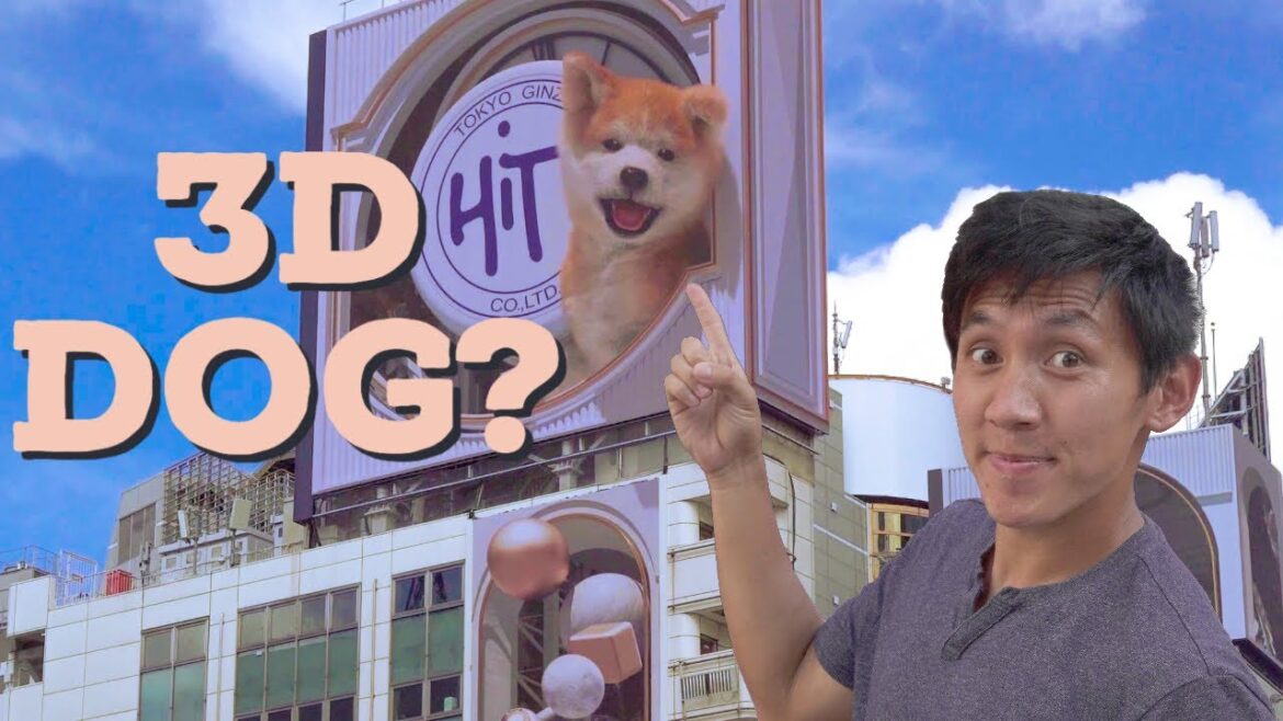 How the "3D" Dog Billboards Look From Different Angles | Shibuya Streetview