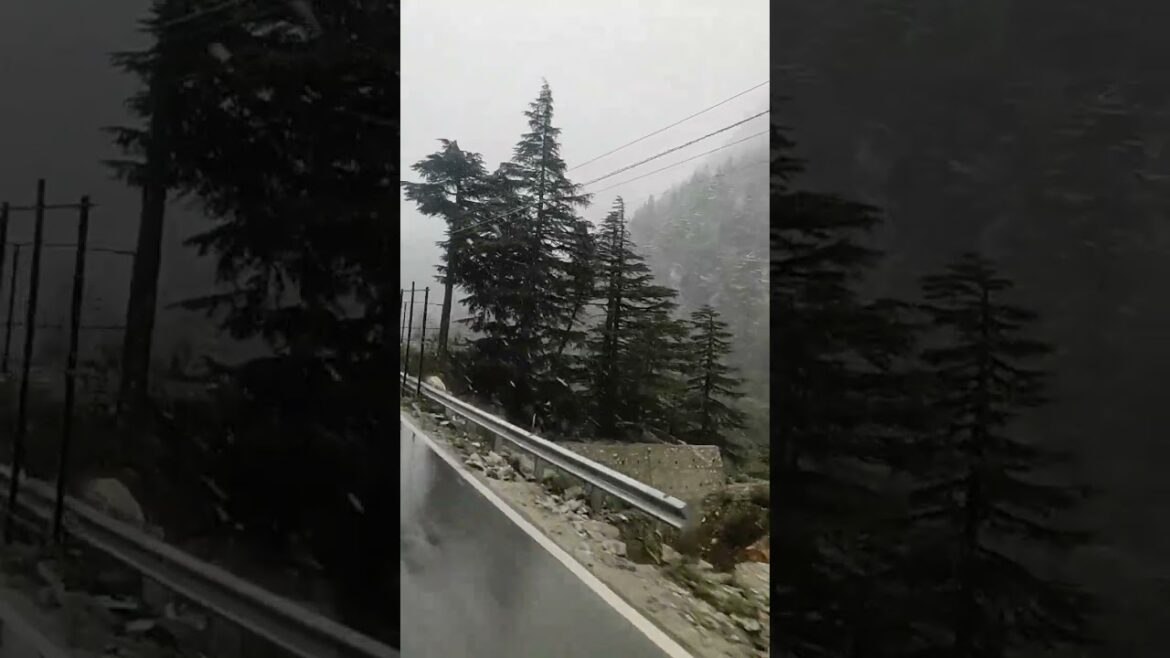 Snowfall in Mountains | Pahad me Barfbari | Beautiful View of Nature #shorts #trendingshorts