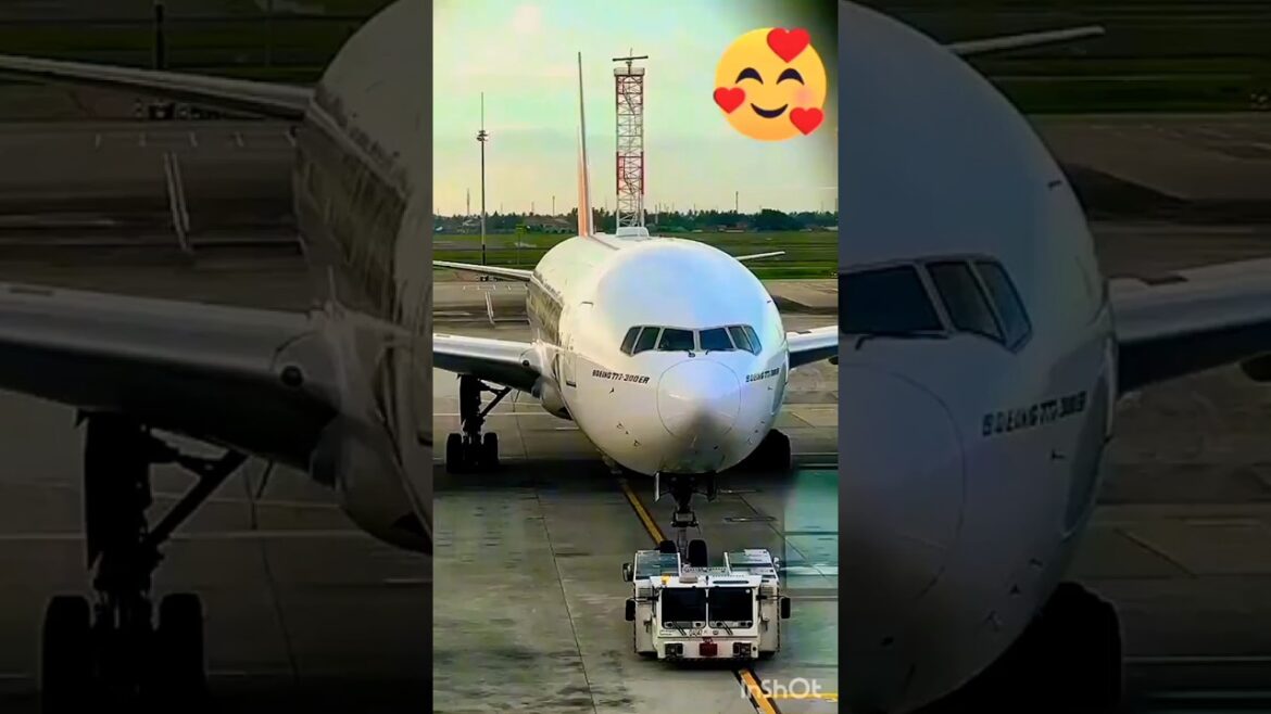 Emirates airlines economy class #shorts #short #shortsvideo #emiratesairlines Emirates airlines economy class #shorts #short #shortsvideo #emiratesairlines