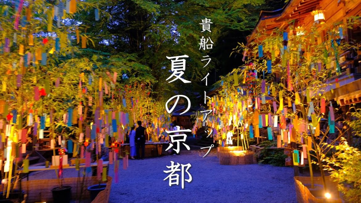 【夏の京都 涼さがし】貴船七夕飾り・叡山電車青もみじのトンネル ライトアップ 【夏の京都 涼さがし】貴船七夕飾り・叡山電車青もみじのトンネル ライトアップ