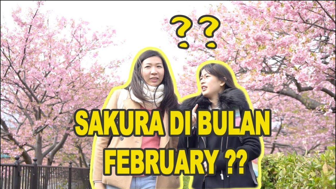 SAKURA DI BULAN FEBRUARI DI KAWAZU – JAPAN GUIDE PART 2 SAKURA DI BULAN FEBRUARI DI KAWAZU - JAPAN GUIDE PART 2