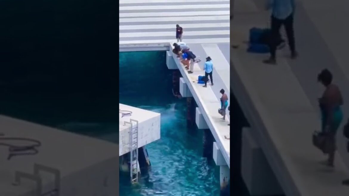 Man Falls off Cruise Ship! Man Falls off Cruise Ship!
