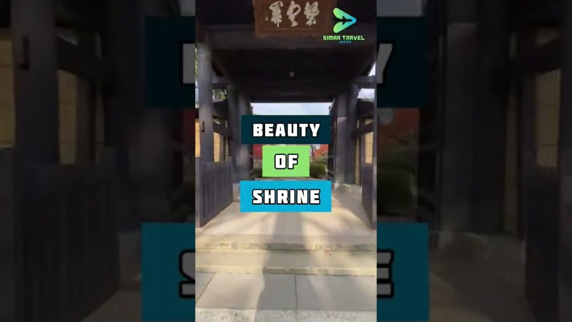 Beauty Of Shrine || kyoto shrine || 京都 || 神社 || #shorts Beauty Of Shrine || kyoto shrine || 京都 || 神社 || #shorts