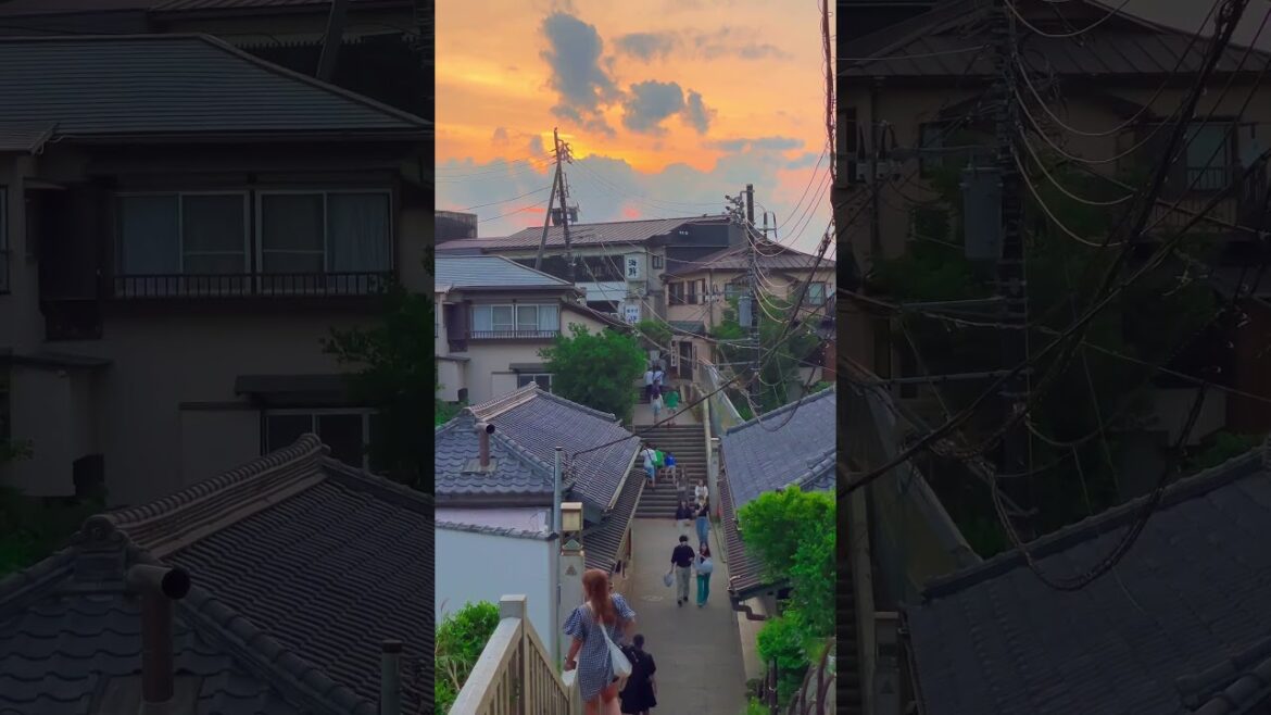 Evening walk in Enoshima | Torii Whispers #japan #japanvlog #japon #anime #japaneseculture #evening Evening walk in Enoshima | Torii Whispers #japan #japanvlog #japon #anime #japaneseculture #evening