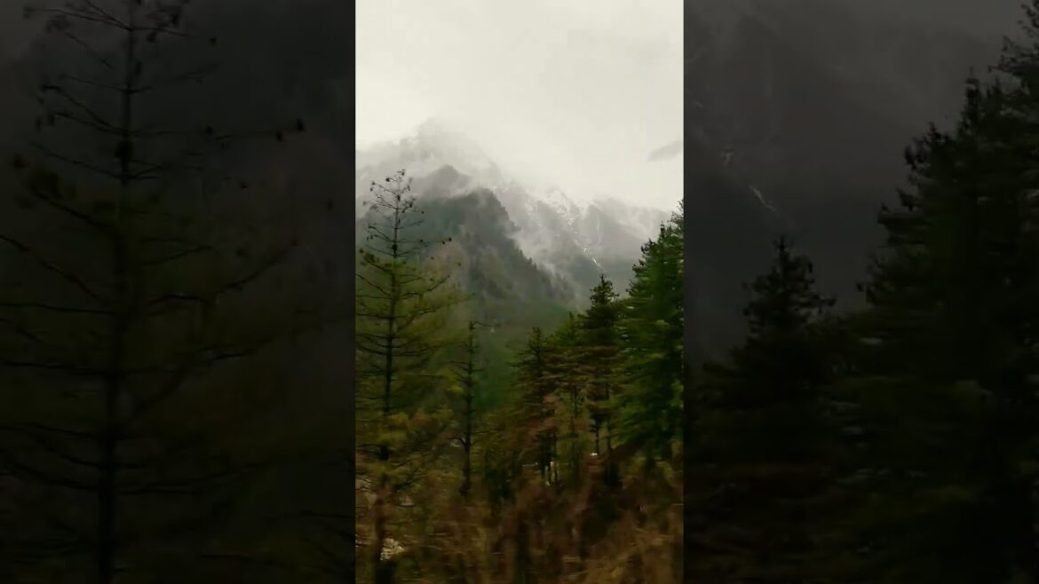 Wow Amazing View in Mountain | Uttarakhand | Chardham #shortvideo #shorts #trending