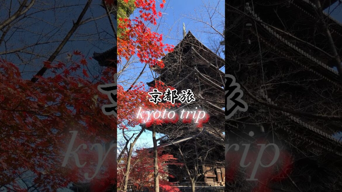 《京都》京都旅 kyoto trip 3泊4日で巡るオススメスポット　※詳しくは本編で！