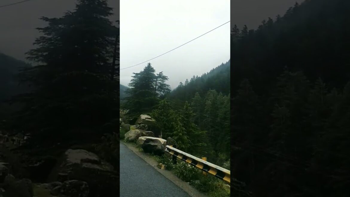 Gangotri Ke Khatarnak Raste | Risk Hai Bahut | Sharp Turns #shorts #youtubeshorts