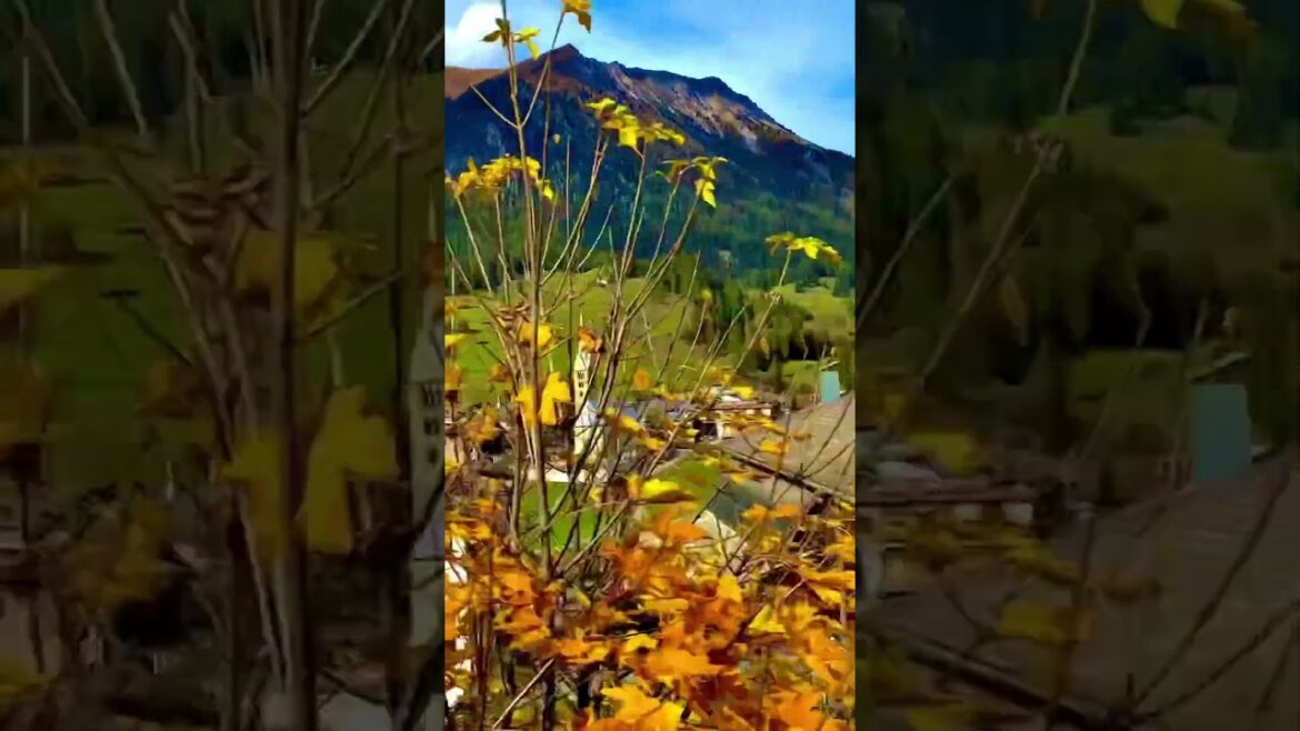 Luminous Waters:Embracing Aquatic Delight #shorts #nature #swissnature #travel #switzerlandvacations Luminous Waters:Embracing Aquatic Delight #shorts #nature #swissnature #travel #switzerlandvacations