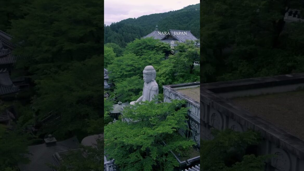 Tsubosaka temple | Torii Whispers #japantravel #japantemple #temple #japaneseculture #japanvlog