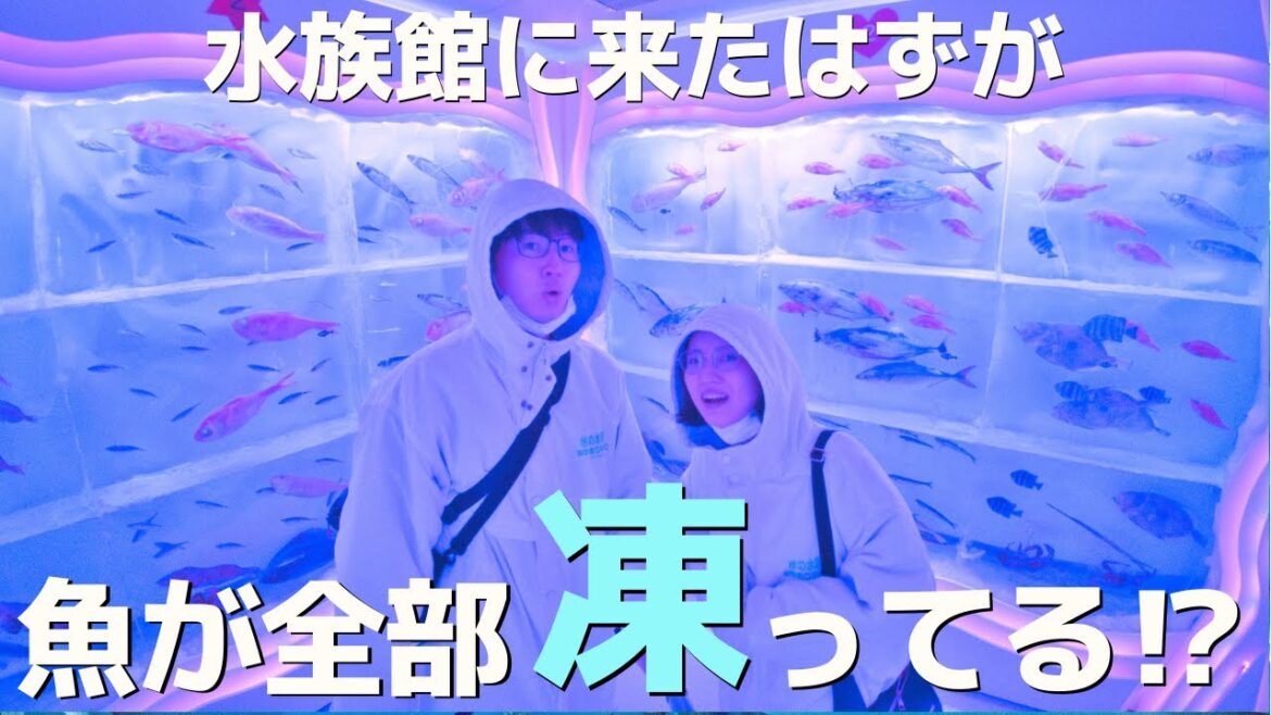【日本一周】魚の凍った水族館が幻想的な絶景で感動！