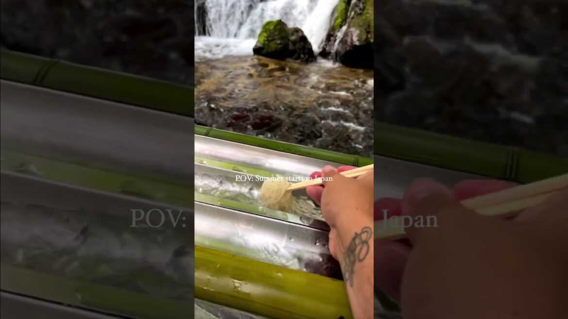 A Summer in Japan | Torii Whispers #japan #japantravel #japanvlog #japanesefood #japanlife #summer A Summer in Japan | Torii Whispers #japan #japantravel #japanvlog #japanesefood #japanlife #summer