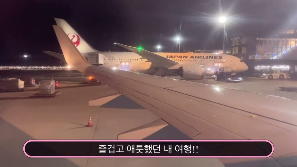 Tokyo Trip (Summer Vacation in Tokyo 2/2)