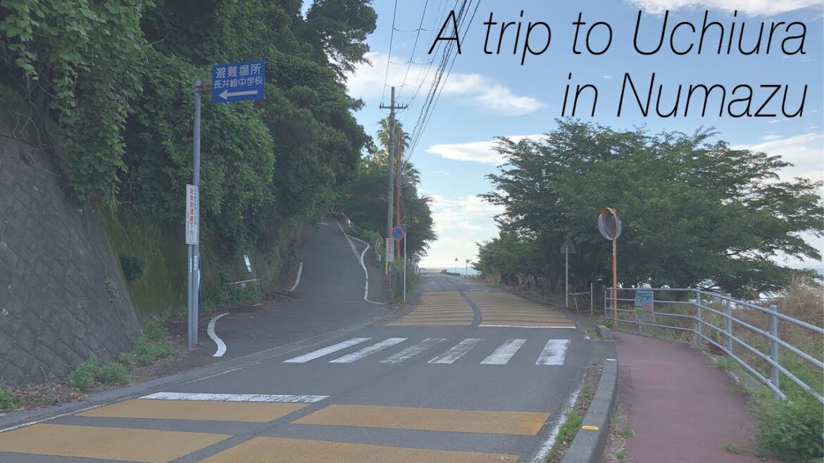 A trip to Uchiura in Numazu - Home of Love Live! Sunshine!! - VLOG
