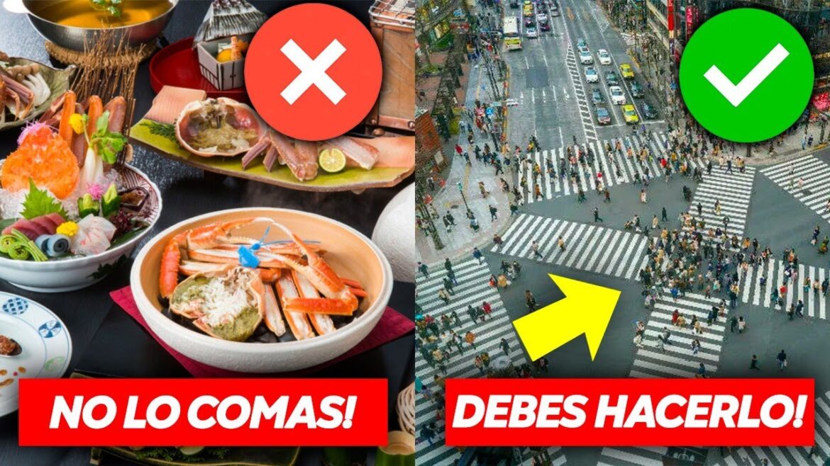 ¿Tienes GANAS de VISITAR JAPÓN? ✈️ Te REVELAMOS 7 TIPS y CONSEJOS de VIAJE✅️