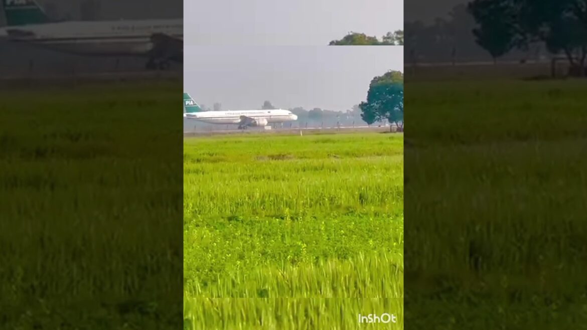 PIA Flight Take-off Sialkot International Airport #shorts #short #shortsvideo PIA Flight Take-off Sialkot International Airport #shorts #short #shortsvideo