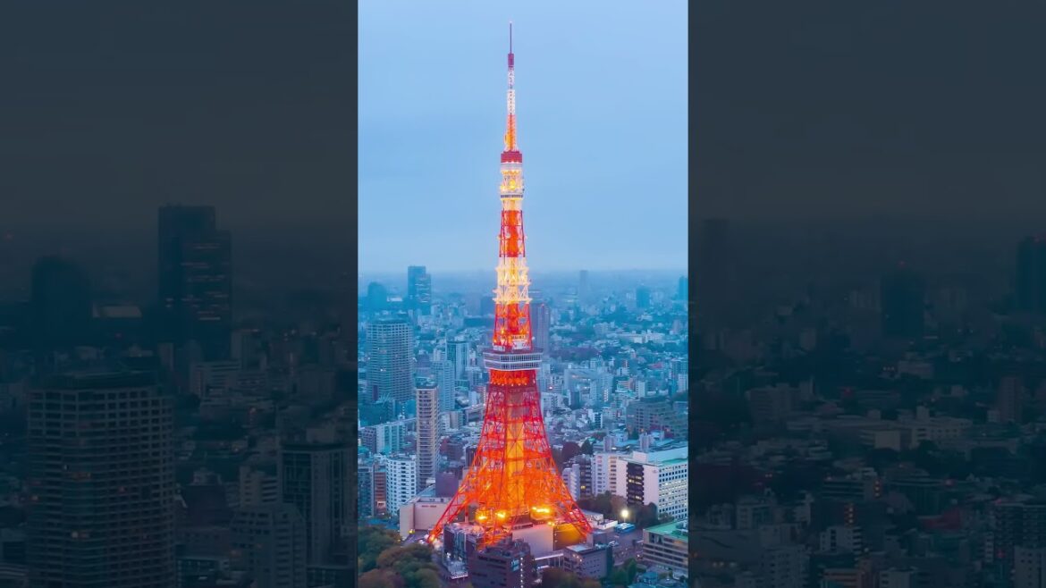 Top 10 things to do in Tokyo Japan-Overview Tokyo Japan vacation guide #shorts Top 10 things to do in Tokyo Japan-Overview Tokyo Japan vacation guide #shorts