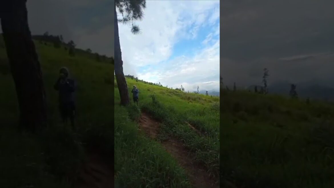 #shorts | sri lanka travel vlog | mountain wonderful travel vlog #youtubeshorts 🤩🤩 #short #shorts | sri lanka travel vlog | mountain wonderful travel vlog #youtubeshorts 🤩🤩 #short