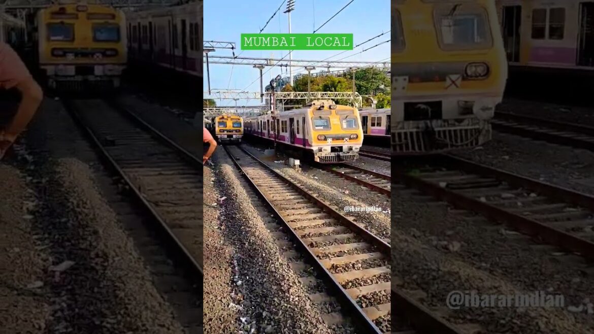 🔥kitni train ja rahi ek sath. #shorts #trending #explore #mumbailocal #indianrailways #viral #train 🔥kitni train ja rahi ek sath. #shorts #trending #explore #mumbailocal #indianrailways #viral #train