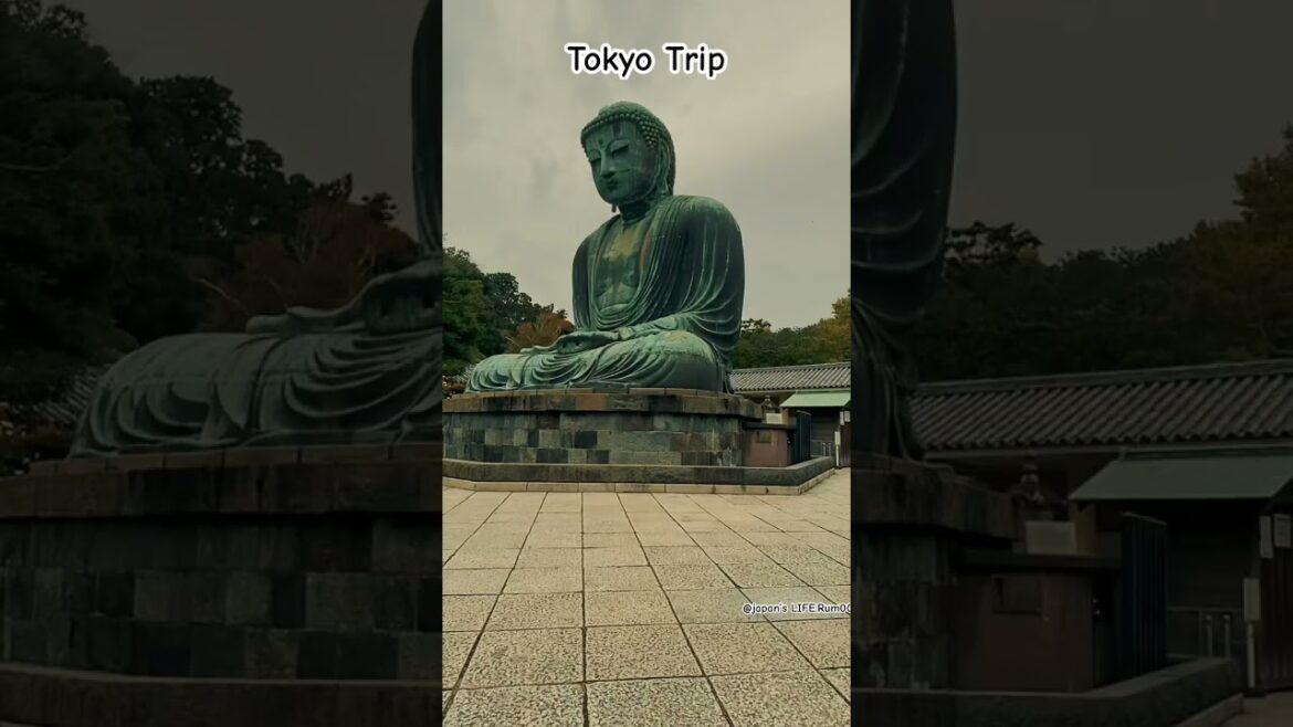 Tokyo Trip, Japan #vacation #日本 #travel #tokyo #train #family #shorts #জাপান