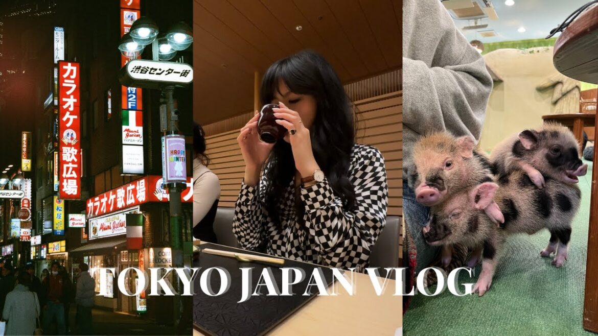4 DAYS IN TOKYO VLOG: sunset at Shibuya Sky, thrifting in Shimokitazawa, 5 ⭐️ omakase | TIFFANY LAI