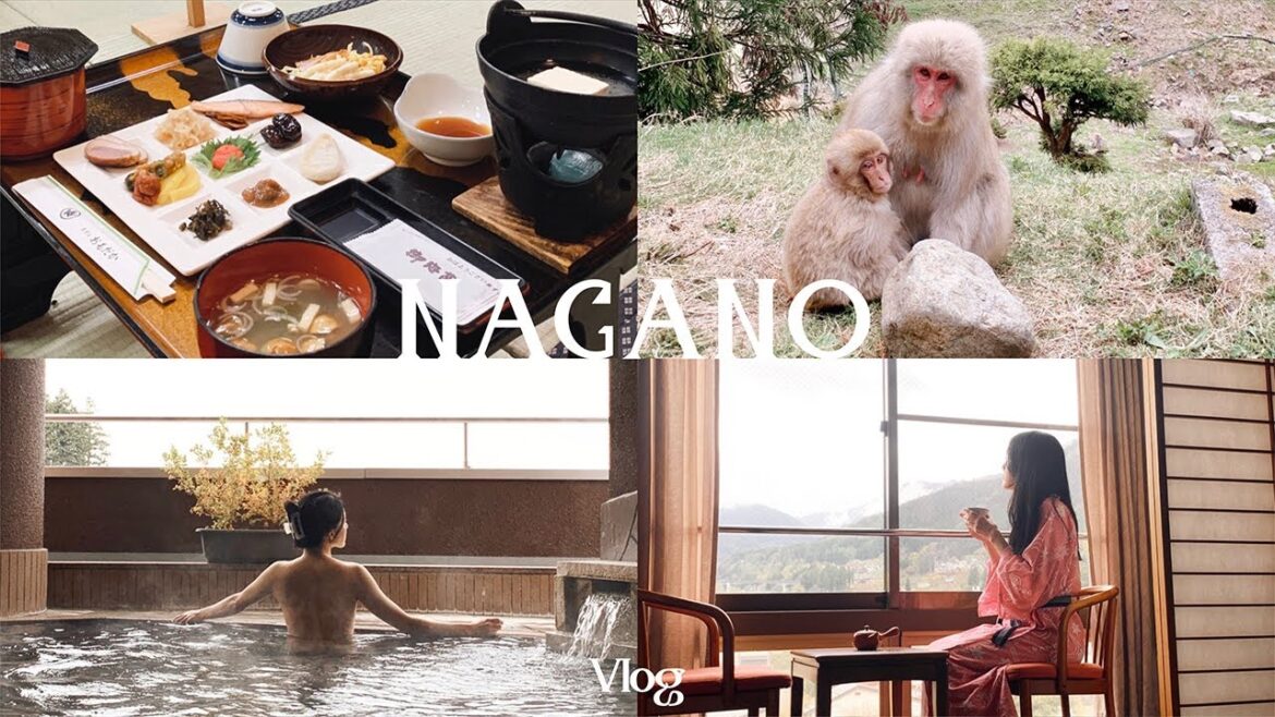 MY FIRST RYOKAN EXPERIENCE [Japan 6]