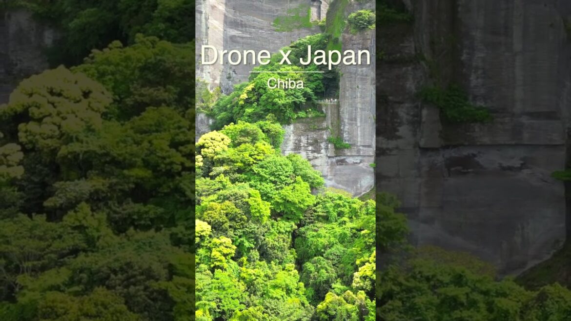 Drone x Japan - Chiba #japan #drone #shorts