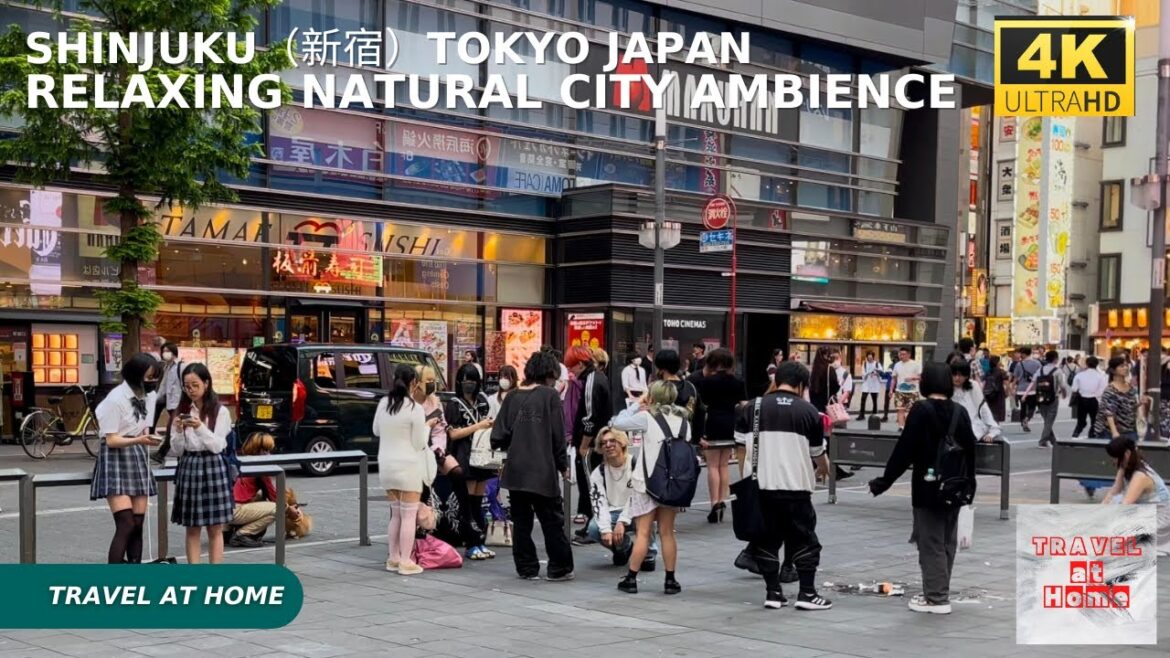 4k hdr japan travel | Walk in Shinjuku（新宿）Tokyo Japan |  Relaxing Natural City ambience