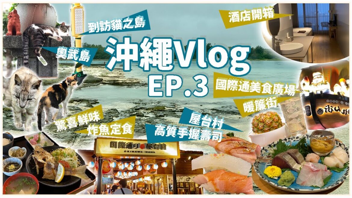 【沖繩Vlog Ep.3】 國際通美食 暖簾街 + 屋台村|貓之島 奧武島 出色炸魚和天婦羅|高水準 豬肉蛋飯糰|第一牧志公設市場 |酒店開箱 Hotel Anteroom Naha 【沖繩Vlog Ep.3】 國際通美食 暖簾街 + 屋台村|貓之島 奧武島 出色炸魚和天婦羅|高水準 豬肉蛋飯糰|第一牧志公設市場 |酒店開箱 Hotel Anteroom Naha