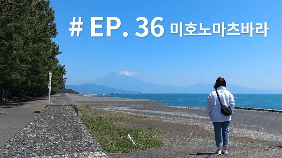 EP. 36 시즈오카 여행 Day2 / 미호노마츠바라