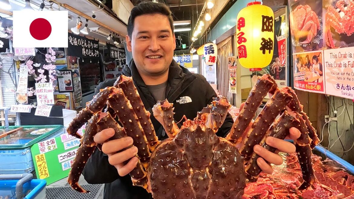 Hokkaido Japan Travel Vlog (2023)