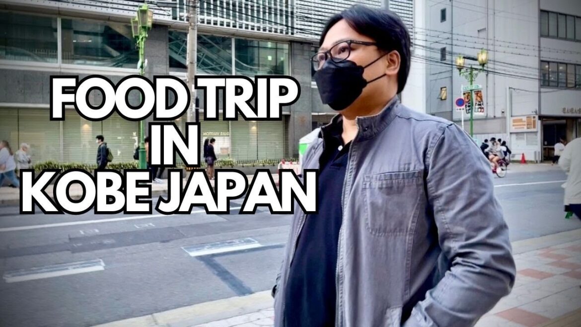 Food Trip In Kobe Japan | Youjin Vlogs