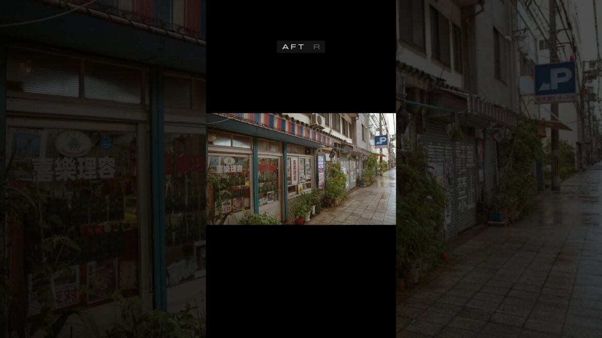 Osaka Street Photograph Before/After - 2