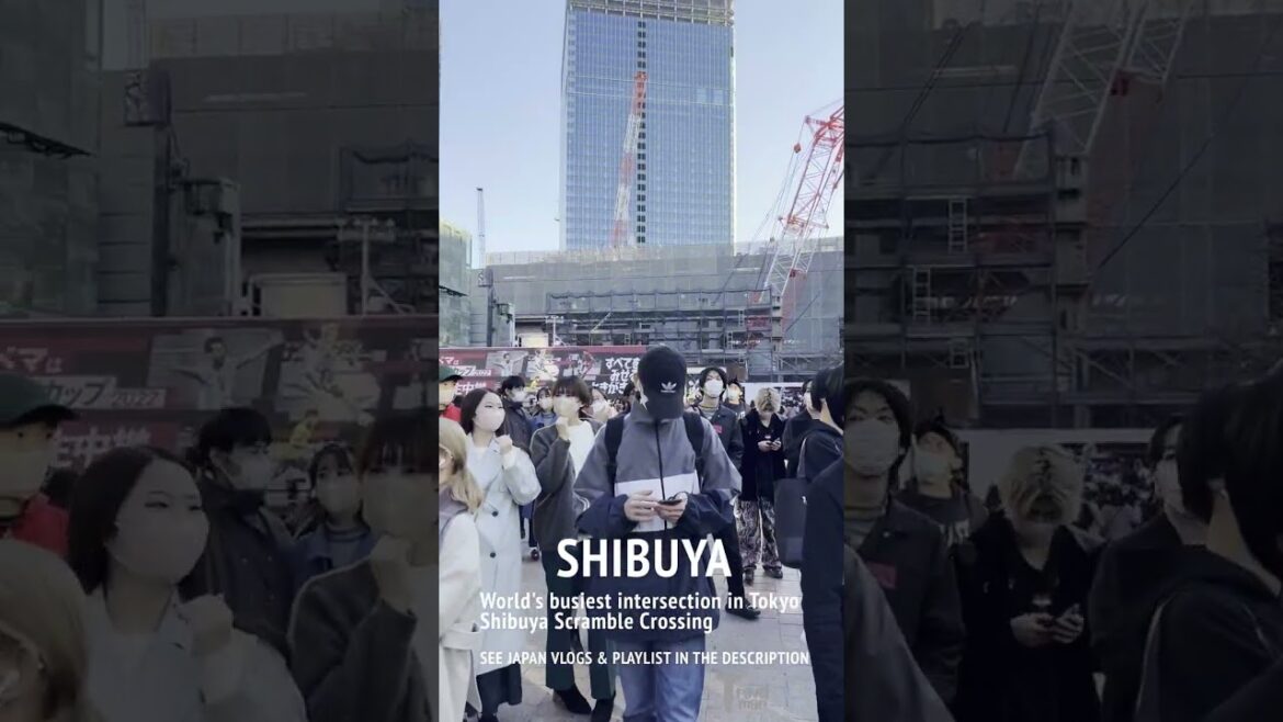 TOKYO TRAVEL 2023 | SHIBUYA SCRAMBLE CROSSING -WORLD’S BUSIEST INTERSECTION #shorts TOKYO TRAVEL 2023 | SHIBUYA SCRAMBLE CROSSING -WORLD'S BUSIEST INTERSECTION #shorts
