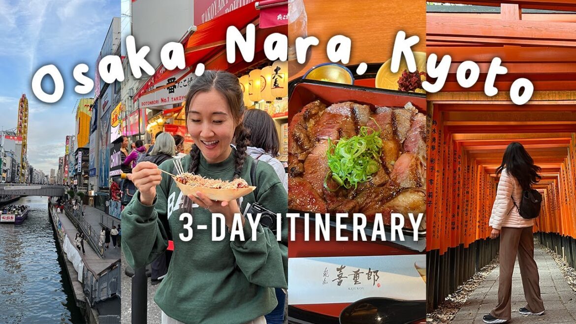 Japan Travel Vlog: best things to do in OSAKA, NARA, and KYOTO 2023 Japan Travel Vlog: best things to do in OSAKA, NARA, and KYOTO 2023