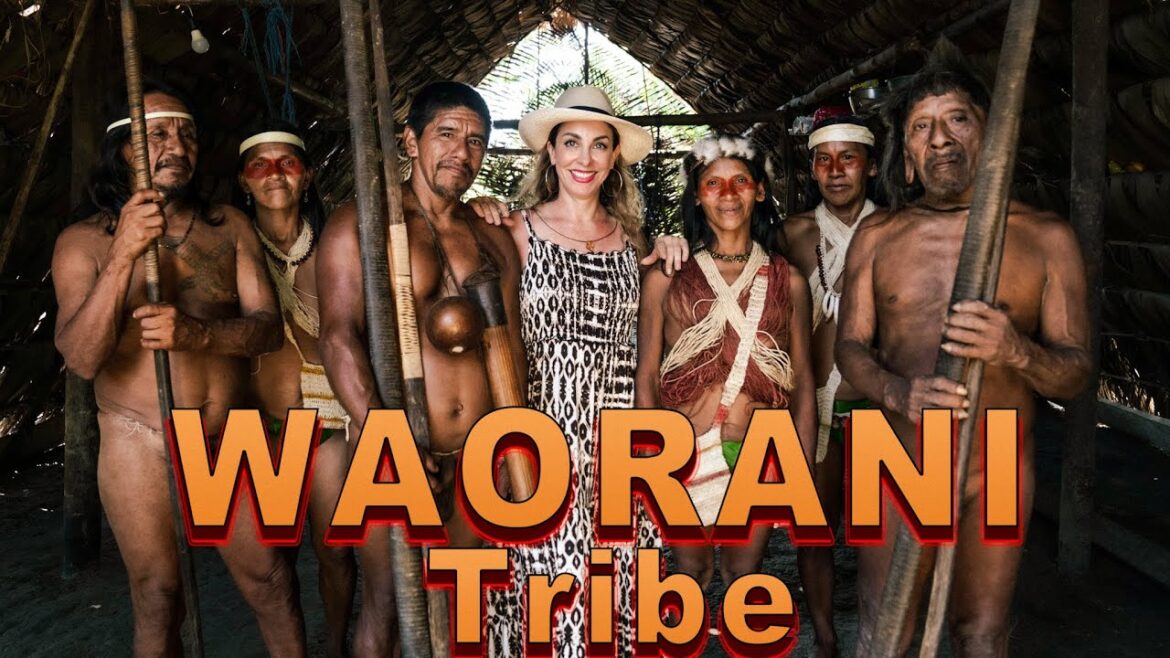 Hunters of the Amazon Jungle: The Waorani Tribe