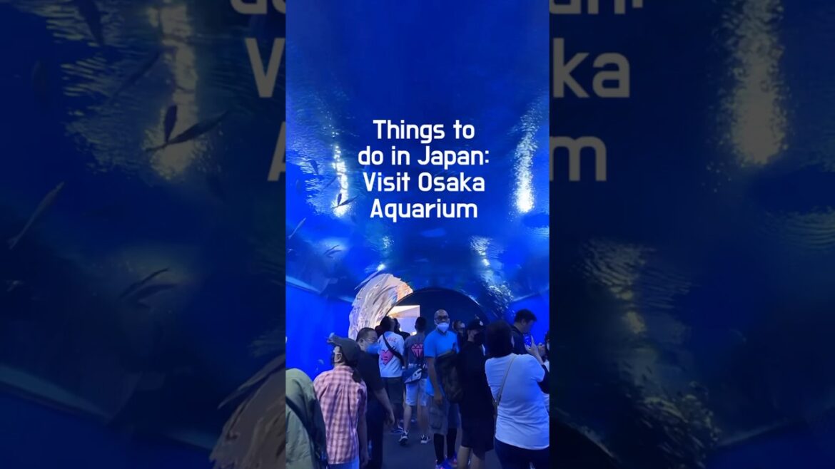 Visiting Osaka Aquarium #osaka #japantravel  #shorts