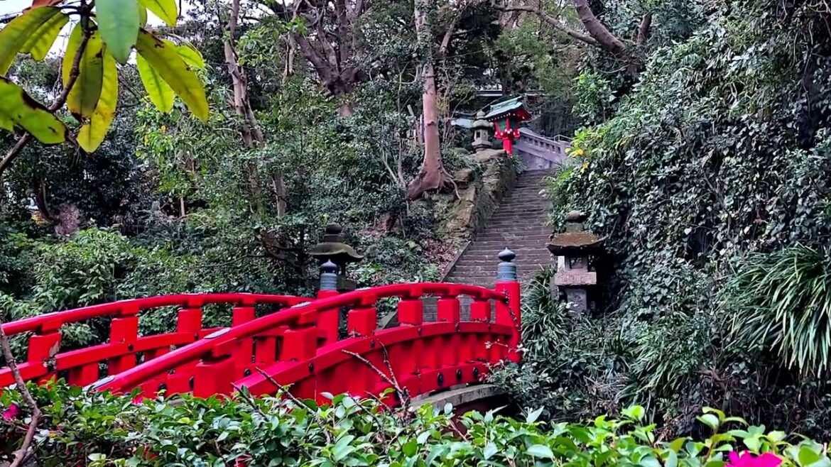 KAMAKURA & ENOSHIMA   Day trip from Tokyo   Japan Travel Vlog