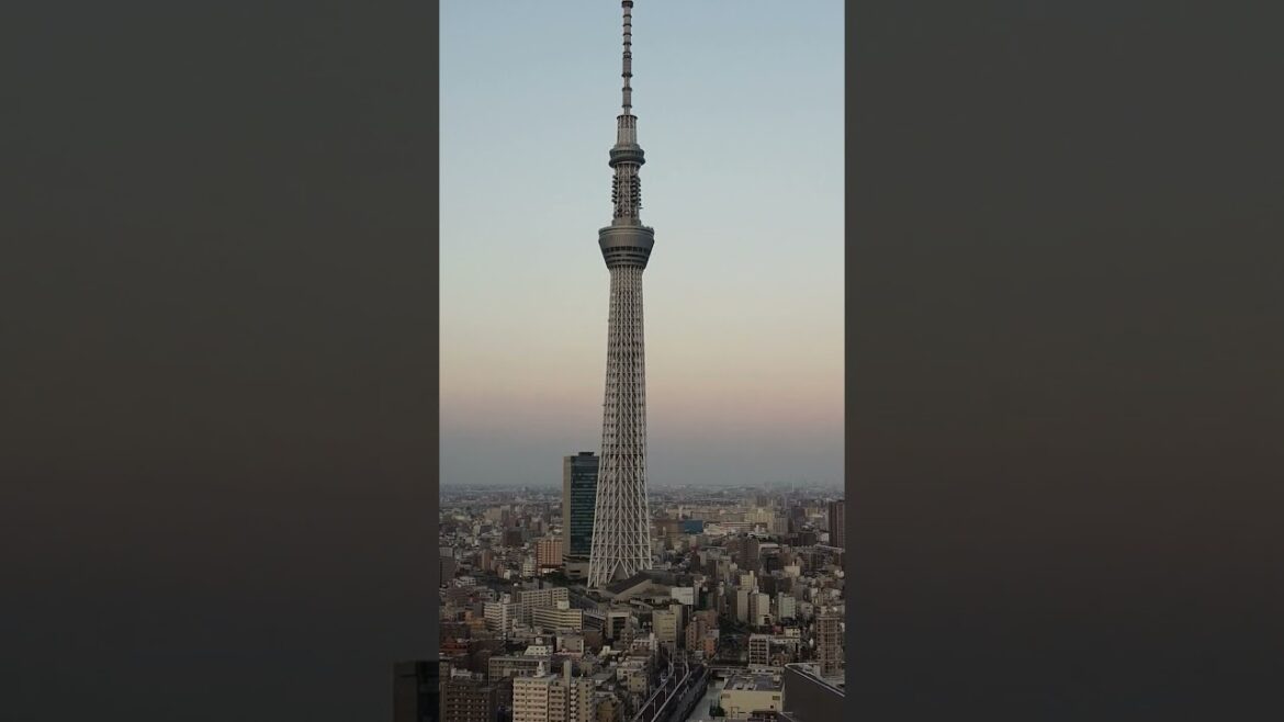 The largest city in the world