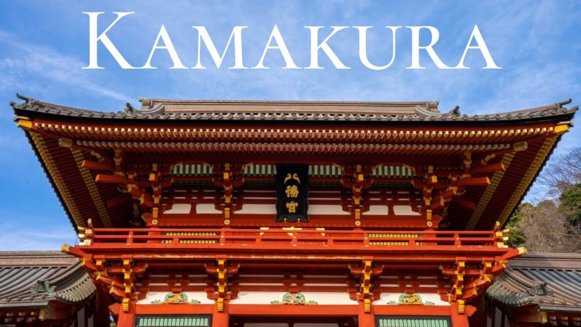 LIVE | Visiting Birthplace of Shogunate during Star Festival✨ LIVE | Visiting Birthplace of Shogunate during Star Festival✨