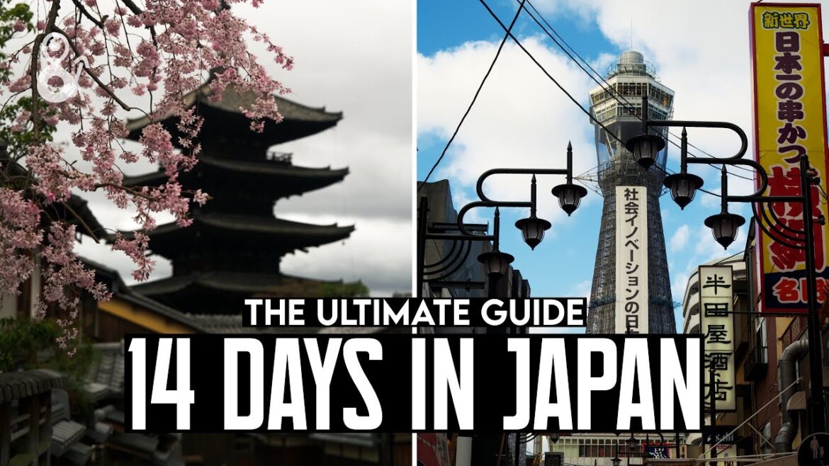 How to Spend 14 Days in JAPAN (2023) | The Ultimate Japan Travel Guide with COSTS