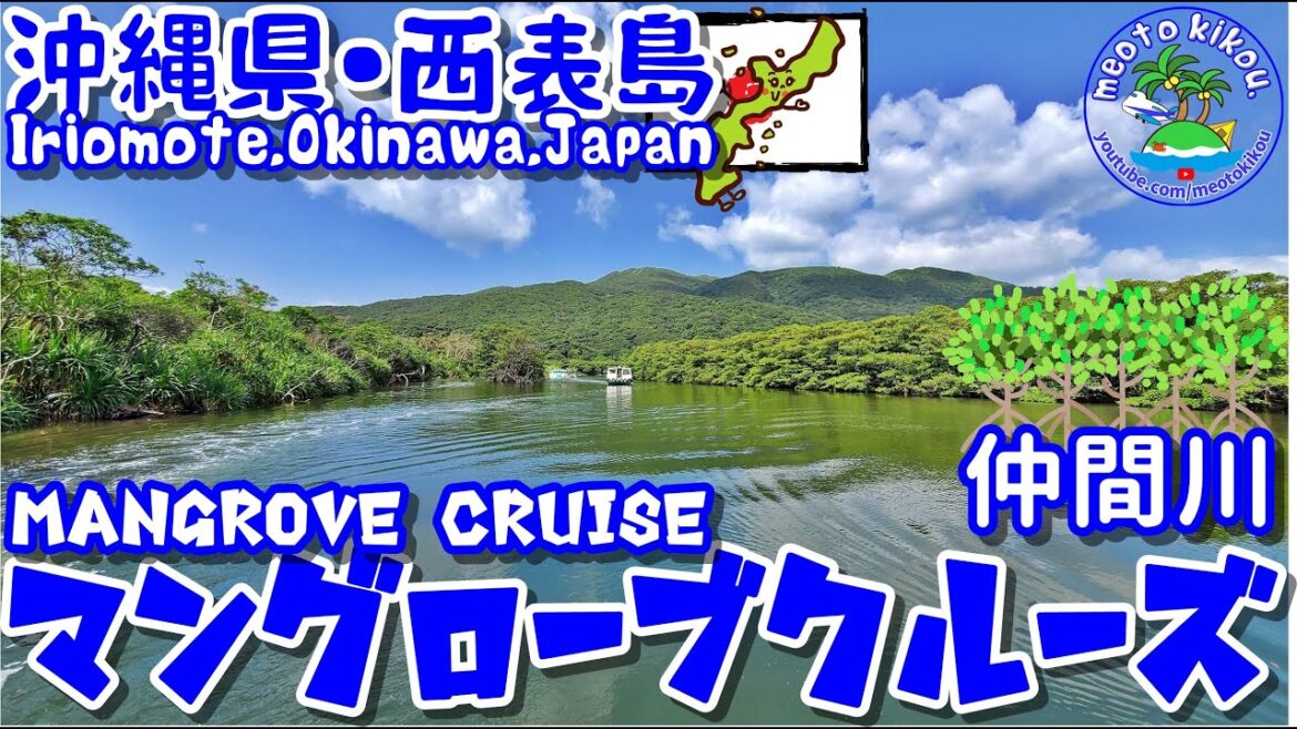 爽快マングローブクルーズ🌳仲間川遊覧🚤沖縄県西表島🌺