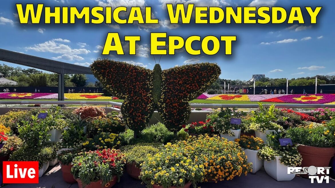 🔴Live: Whimsical Wednesday at Epcot – Walt Disney World Live Stream – 6-28-23 🔴Live: Whimsical Wednesday at Epcot - Walt Disney World Live Stream - 6-28-23