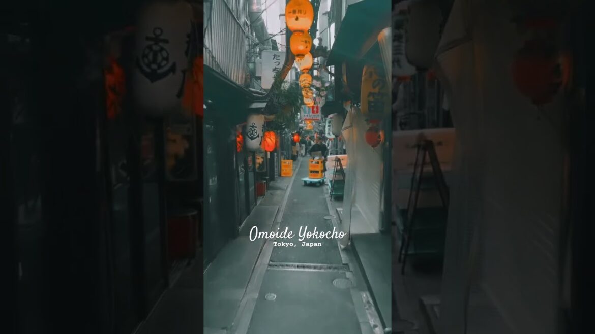 Japan Street Food Hunting